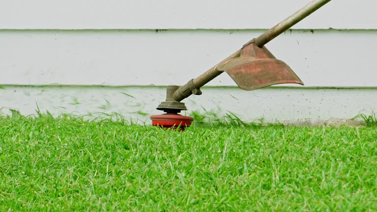 Best Sod Installation  in Seven Oaks, SC